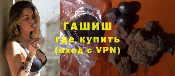 индика Алексин