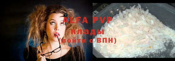 индика Алексин