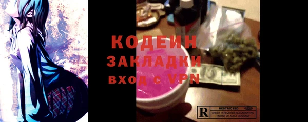 индика Алексин