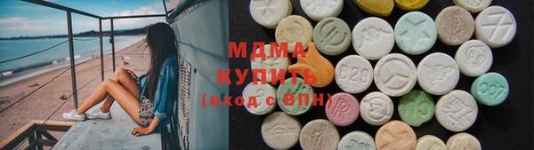 индика Алексин