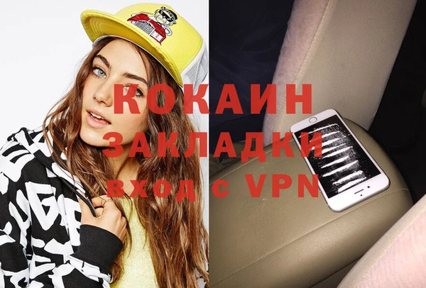 индика Алексин