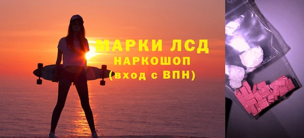 индика Алексин