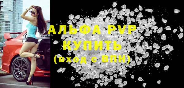 индика Алексин