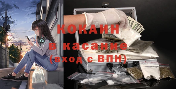 индика Алексин