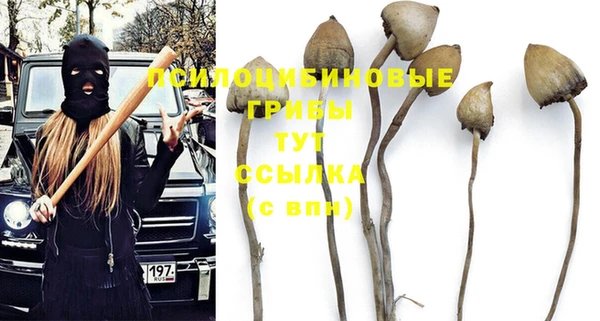 индика Алексин