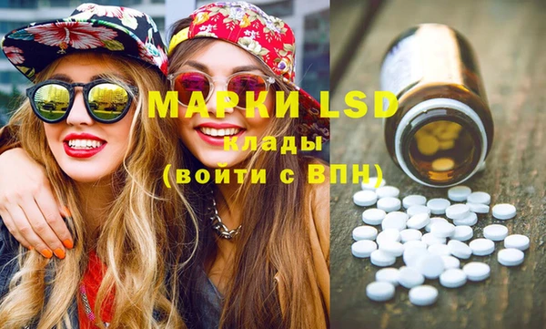 индика Алексин