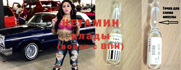 индика Алексин