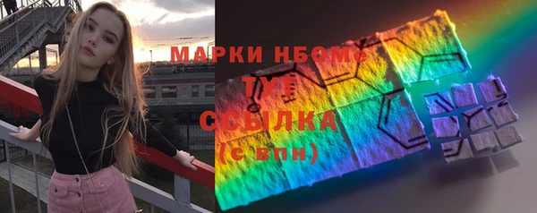 индика Алексин
