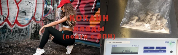 индика Алексин
