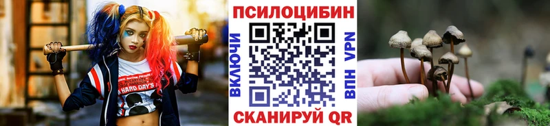 Псилоцибиновые грибы GOLDEN TEACHER  Нижний Ломов 